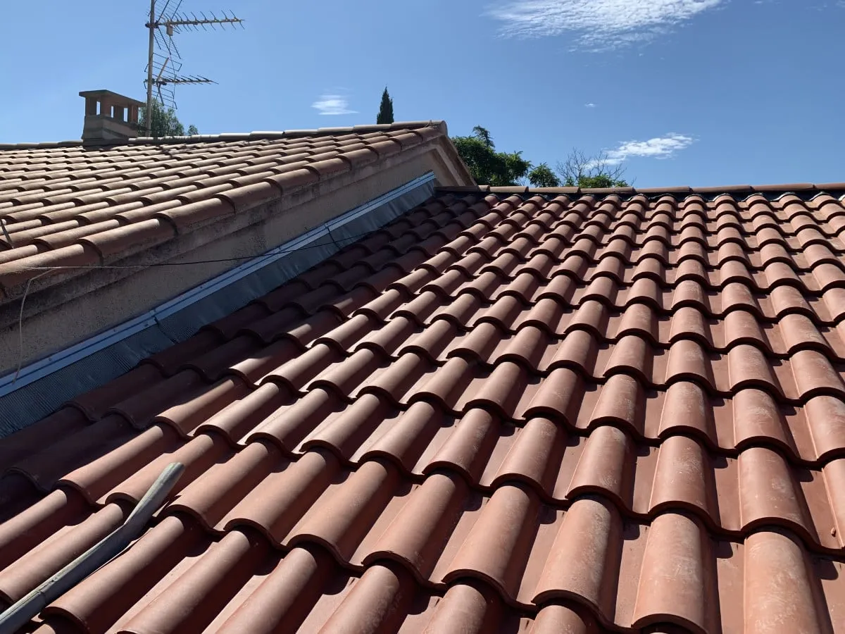 Nettoyage & démoussage de toiture