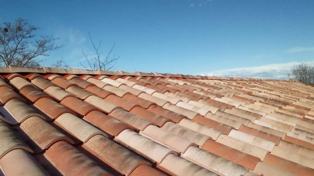 Nettoyage de toiture avec mousses dans le Var